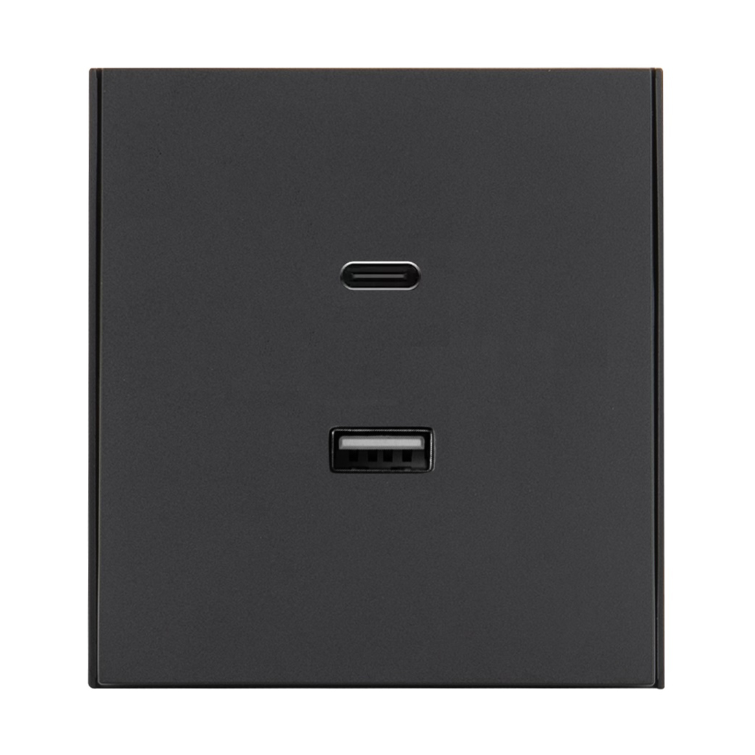 Himel Розетка Inovao USB Чёрный HWDIUSBAC45B