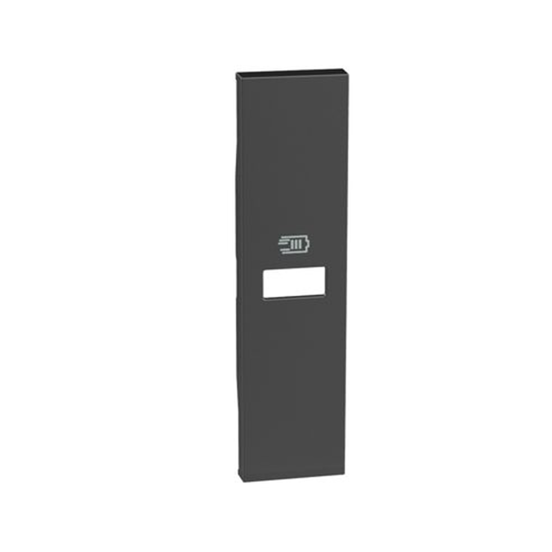 Bticino Лицевая панель Bticino KG11C Living Now USB зарядки 1 модуль черный