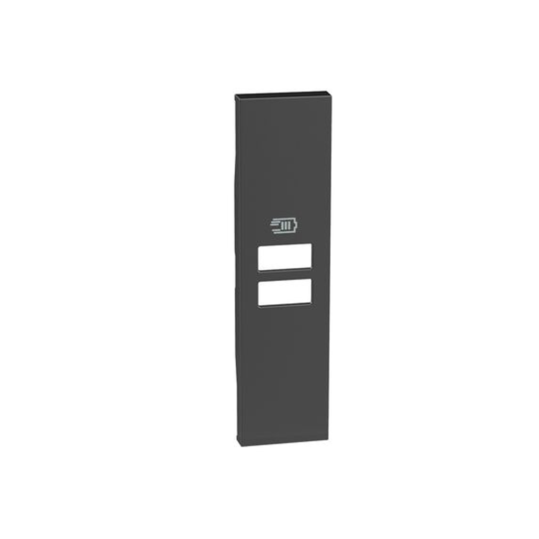 Bticino Лицевая панель Bticino KG13C Living Now USB зарядки 1 модуль черный